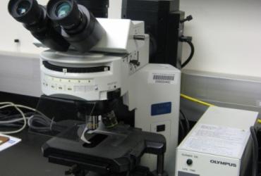The Olympus BX41 Fluorescence Microscope 