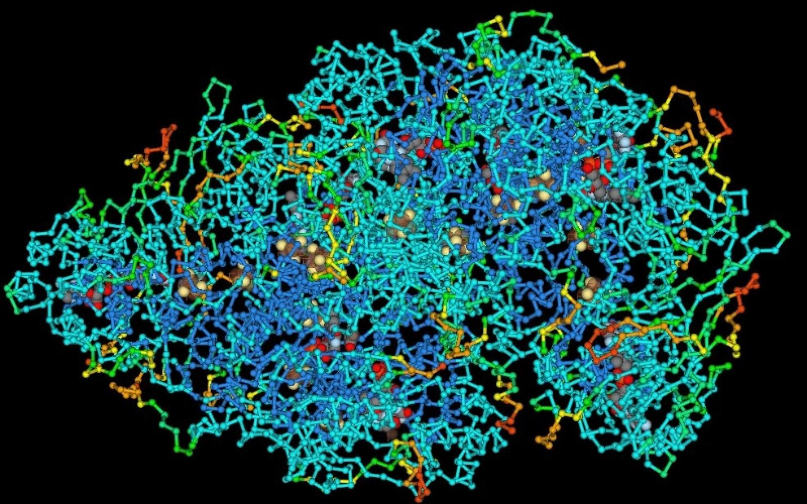 material through a microscope