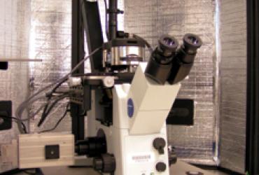 Asylum MFP-3D Bio System w/ Olympus IX71 Inverted Microscope